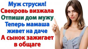 Истории из жизни|У меня не приют для мужиков без яиц и их мамаш!|Аудиокниги слушать|Реальные истории