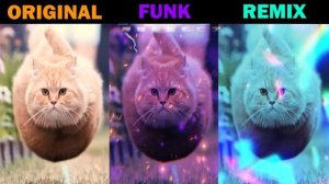 НОВЫЙ ТИК-ТОК РЕМИКС: 360 CAT В ЖАНРЕ PHONK/FUNK 🎵!!! ФОНК И ФАНК РЕМИКС ТИК-ТОК! РЕАКЦИЯ! 🙀😽😺