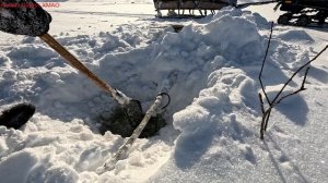 Жерлицы проверка. 27 день.