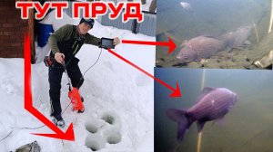 КТО ВЫЖИЛ в ПРУДу У ДОМА! Экскурсия по Болгар и домашний пруд Алексея