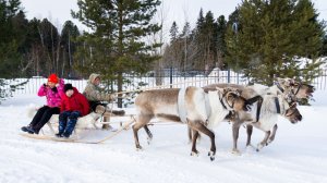 Этноиндустриальный турмаршрут по Югре получил статус национального