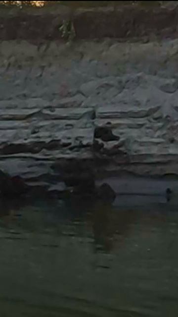 Щука на поролон ! 2