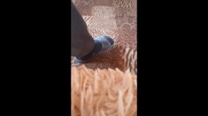 Бахилы с АлиЭкспресс на обувь