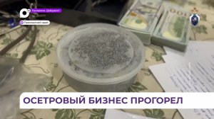 Незаконную торговлю чёрной икрой пресекли правоохранители в Уссурийске