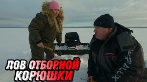 Рыбалка на КРУПНУЮ корюшку. Донки на НАЛИМА.