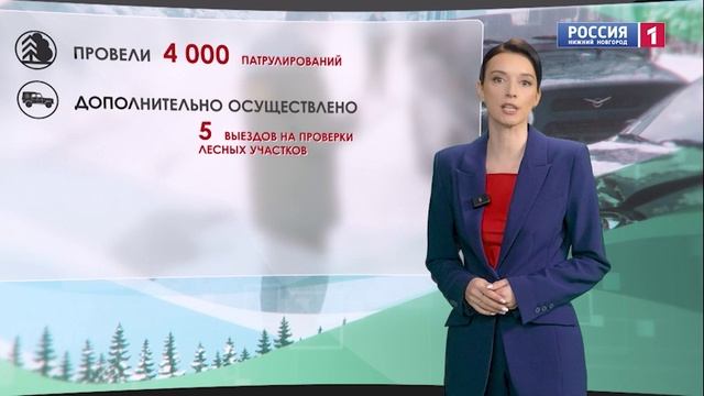 Первый выпуск программы «Лес и человек за пределами урбанистики»
