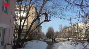 Опиловка деревьев