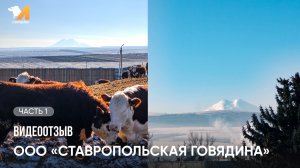 Видеоотзыв "Ставропольская говядина" | Часть 1
