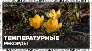 Дневные температуры в Москве могут побить рекорды за несколько десятилетий - Москва 24