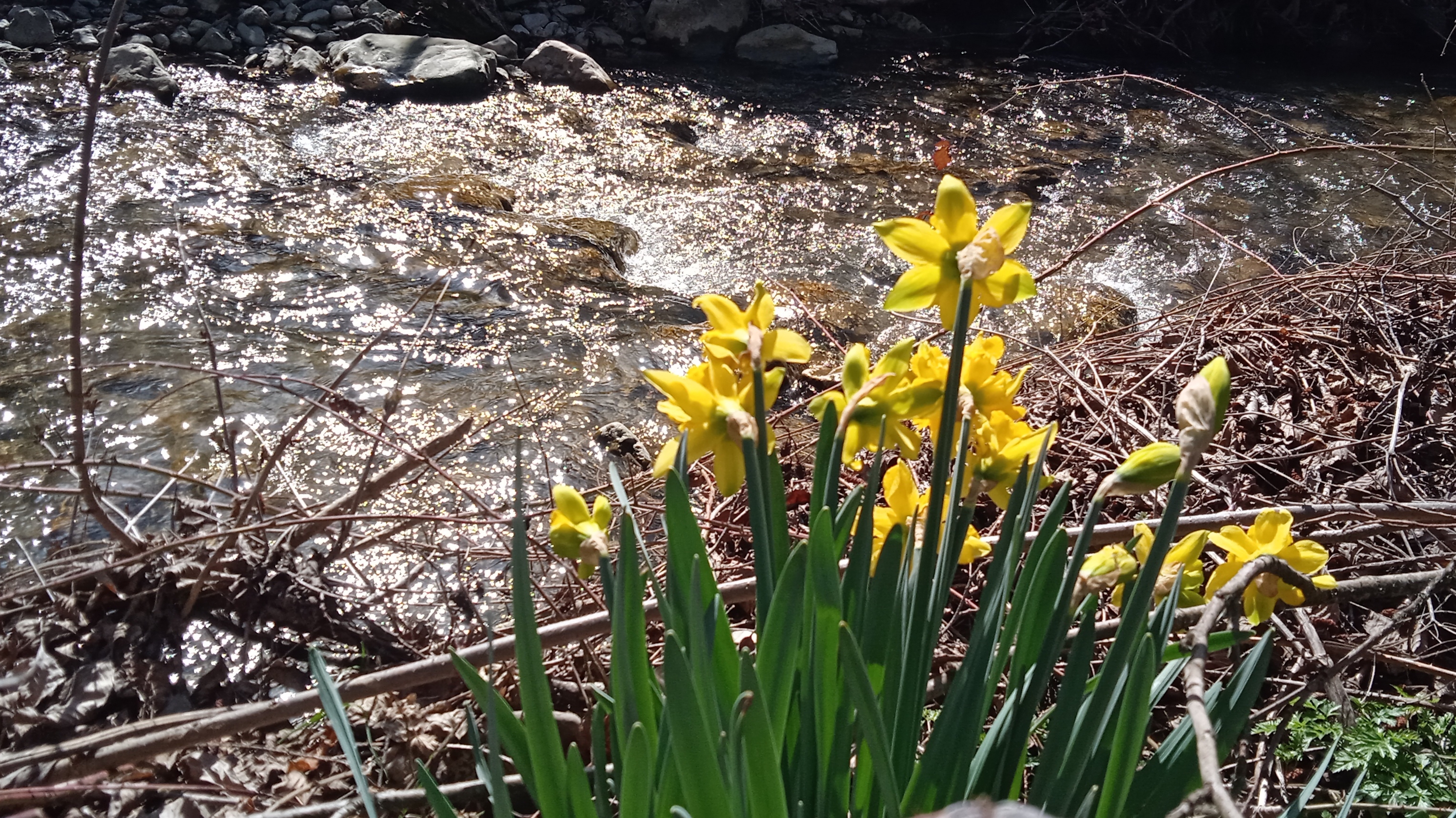 В Крыму давно весна