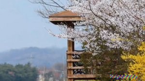 ОДИНОКАЯ ЖЕНЩИНА автор сл муз испол Игорь Дудин.