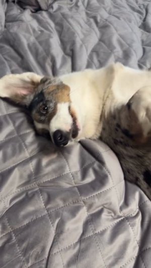 Как же хорошо