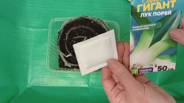 ПОСЕВ ЛУКА НА РАССАДУ 🧅 Начало дачного сезона