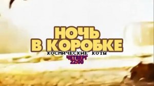Ночь в коробке. Космические коты - Четверг. 22:00 (ТНТ. Большое кино)
