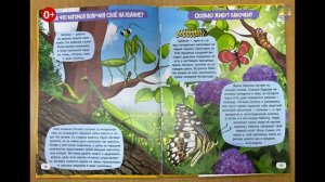 "Зачем котам усы?" («Простоквашинские чтения»)