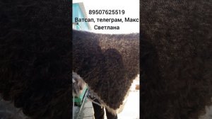 12.03.26.Пуховые платки,косынки,чуни,шкуры,варежки,перчатки,шапки.