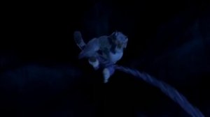 я возврощаюсь домой