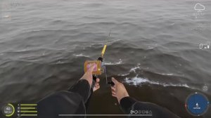 РР4 Русская рыбалка 4