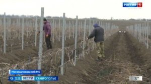 «Вести. Ставропольский край» 12.03.2026 (9.30)