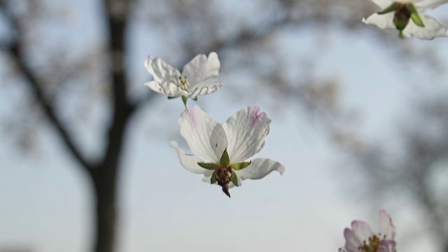 AVALAVA-3ykfqh2e5xzgjljkpqu9