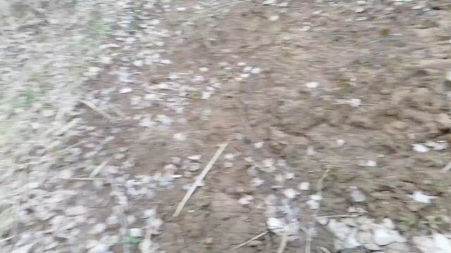 Зачетная щучка#рыбалка#отдых#щука#спиннинг#