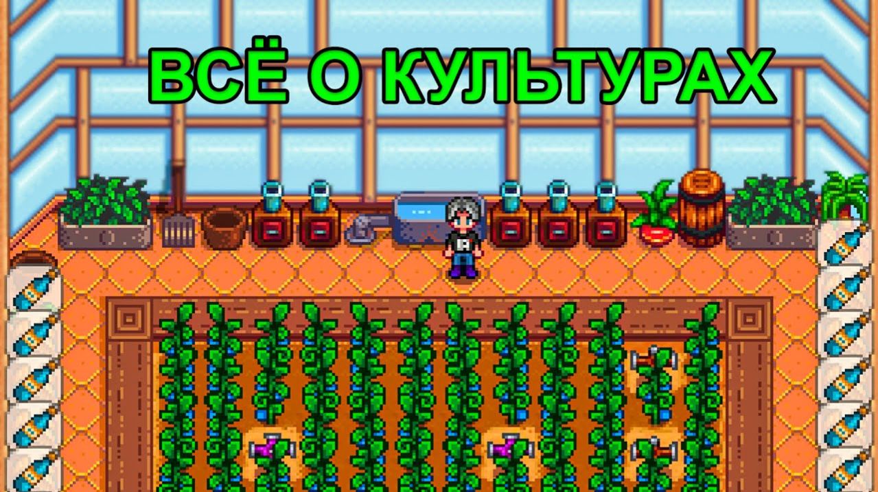 Самое Прибыльное Дело в Stardew Valley! Гайд о Растениях и Доходе с Них