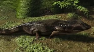 Тайны Палеозойской Эры