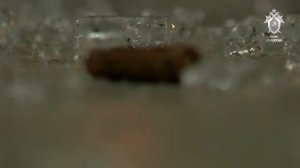 🎙️🎙️ Официальный представитель СК России Светлана Петренко:

Вынесен приговор по уголовному делу