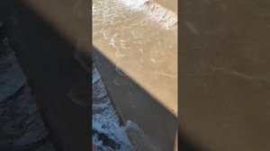 Парк Галицкого 11.03.2026г