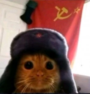 я буду играть в стендофф 2