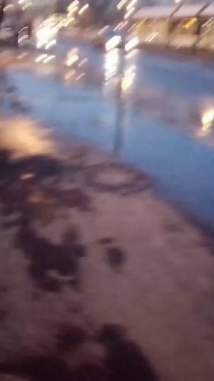 Ходим по магазинам