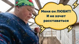 ОйЯ УРЖАлочка drive | Всегда чтоб рядышком была! #пародия #юмор