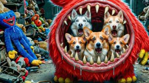 ЗАЛЕЗТЬ В ПУЗЯКУ ЧАМА ЧОМПКИНСА БЫЛО ПЛОХОЙ ИДЕЕЙ!