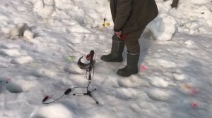 поимка форели