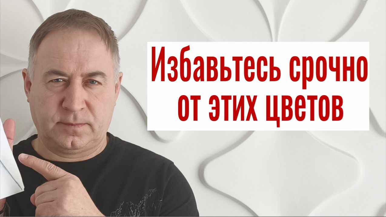 Из дома уйдут беды и болезни! Эти 5 цветков срочно выбросьте в мусорку. Чистка дома от порчи