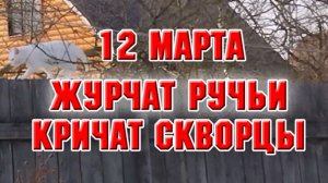 12 марта. Журчат ручьи