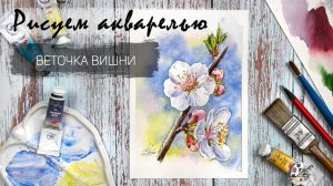 Рисуем акварелью веточку вишни. Запись эфира - доступ до 15 марта 23.59 МСК