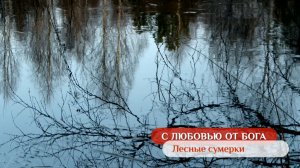 Лесные сумерки | С любовью от Бога
