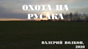 В.Волков Охота на русака (2020)