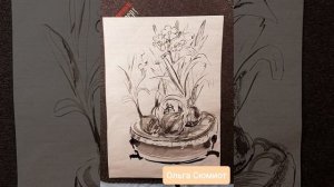 Китайские нарциссы