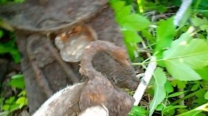 Коп по войне. Память земли. Военная археология.