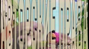 Кассета с названием «Карусель, 12.03.2013» (версия с АП)