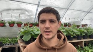 Паутинный клещ. Быстрое уничтожение. Делюсь рабочими препаратами.