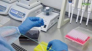 Весна и аллергия: как вовремя распознать поллиноз и что делать дальше