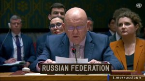Выступление В.А.Небензи по мотивам голосования по бахрейнскому проекту резолюции по ударам Ирана