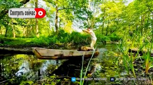 Мое одиночное приключение! Сплав, рыбалка и ночь на острове