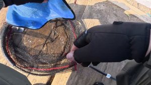 Сезон открытой форели открыт официально.