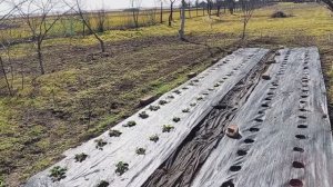 Кубань в марте