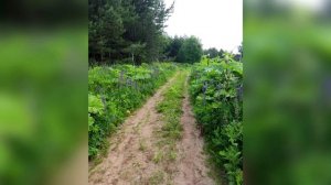 Место происшествия 11.03.26