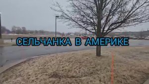 Сельчанка в Америке / ТАКОЕ СЛУЧАЕТСЯ ТОЛЬКО У НАС